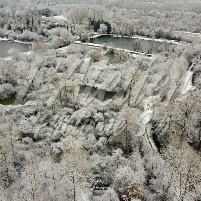 Photographie photo champs arbres automne drone